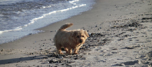 Michi an "seinem" Strand