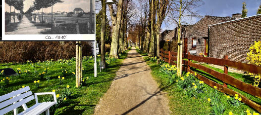 Paasch-Eyler-Allee. Am Wegesende ist das Ferienhaus Dahmeer erkennbar ...