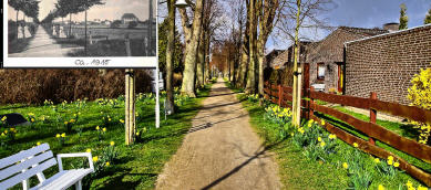 Paasch-Eyler-Allee. Am Wegesende ist das Ferienhaus Dahmeer erkennbar ...