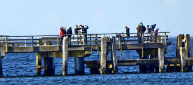 Seebrücke Dahme