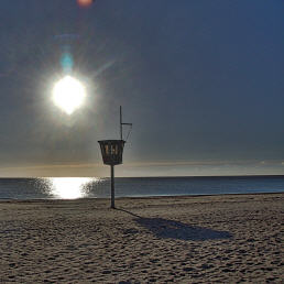 Frühe Strandvogelstunde