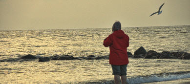 Die Frau und das Meer